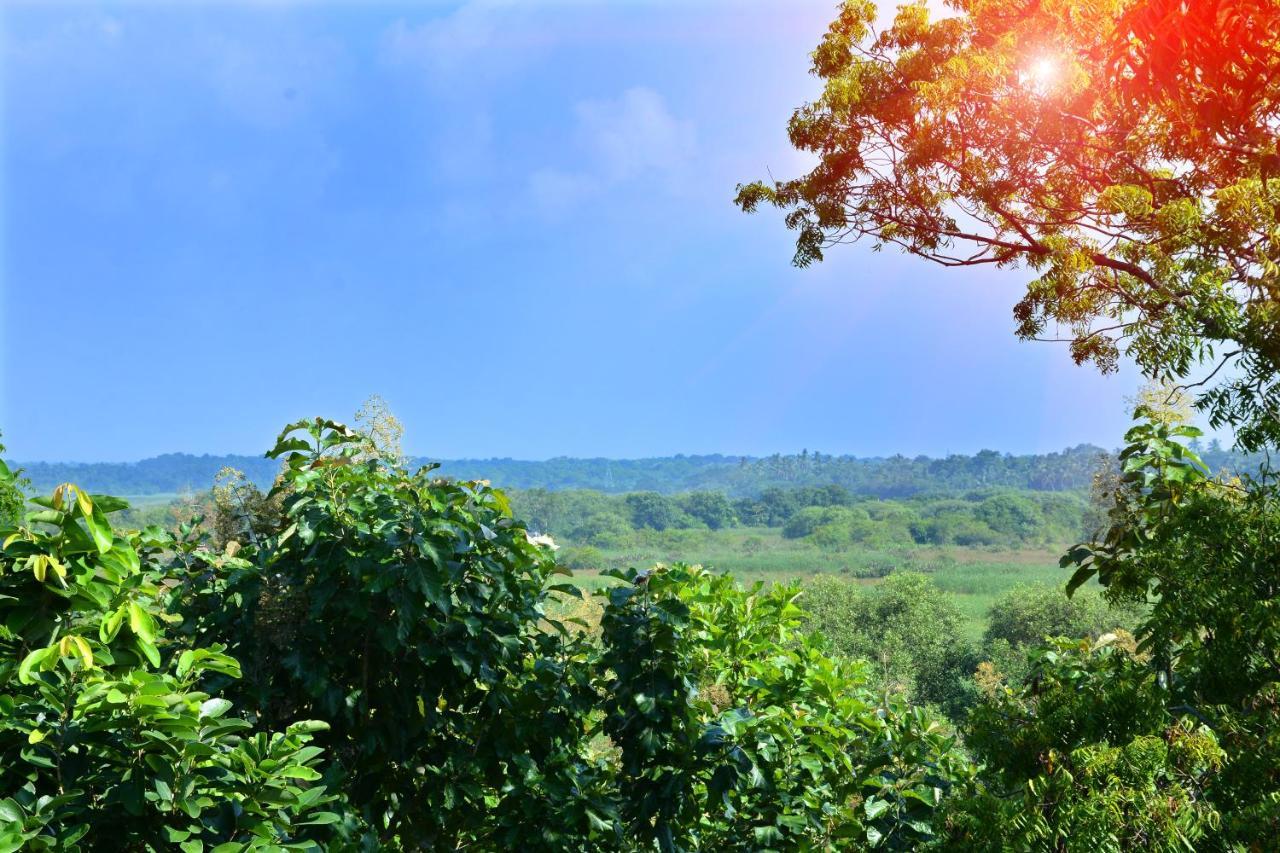 Randu Homestay And Restaurant Тангалла Экстерьер фото